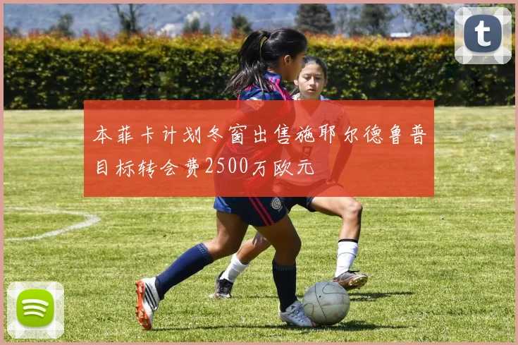 本菲卡计划冬窗出售施耶尔德鲁普目标转会费2500万欧元