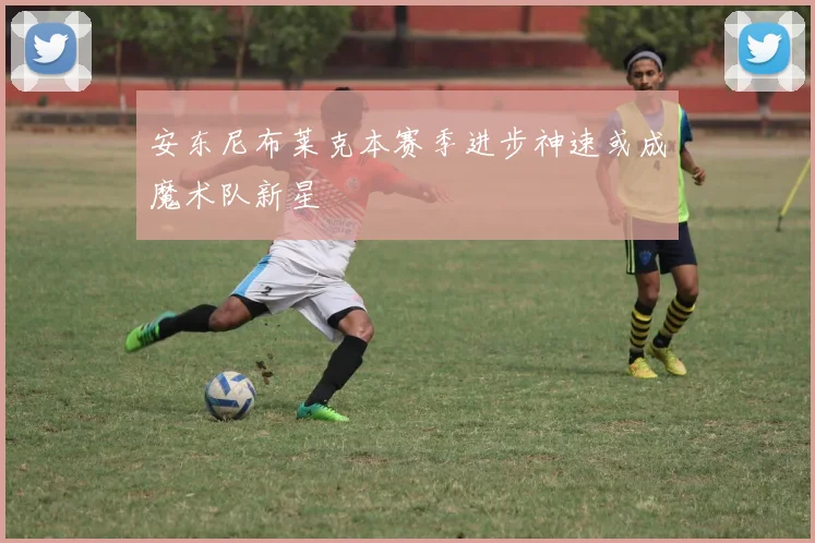 安东尼布莱克本赛季进步神速或成魔术队新星