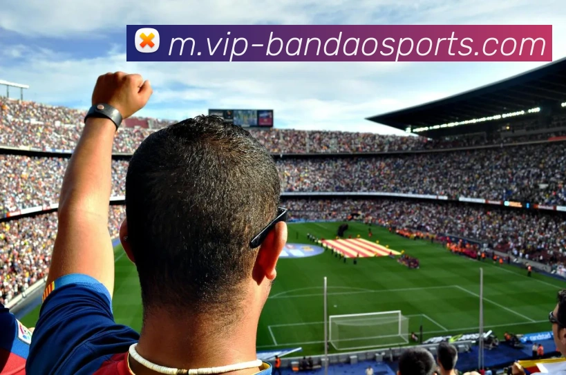 半岛体育APP 封面图