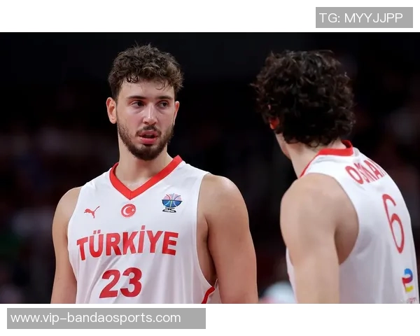 媒体人点评约基奇全力出击申京遭遇惨痛教训难以承受