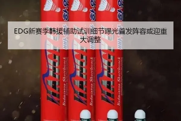 EDG新赛季韩援辅助试训细节曝光首发阵容或迎重大调整 | bandao
